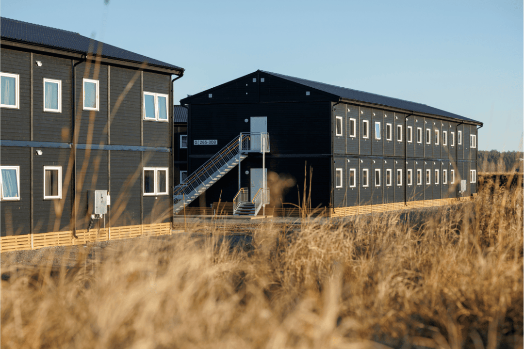 20241031-094410-3888_1200x800