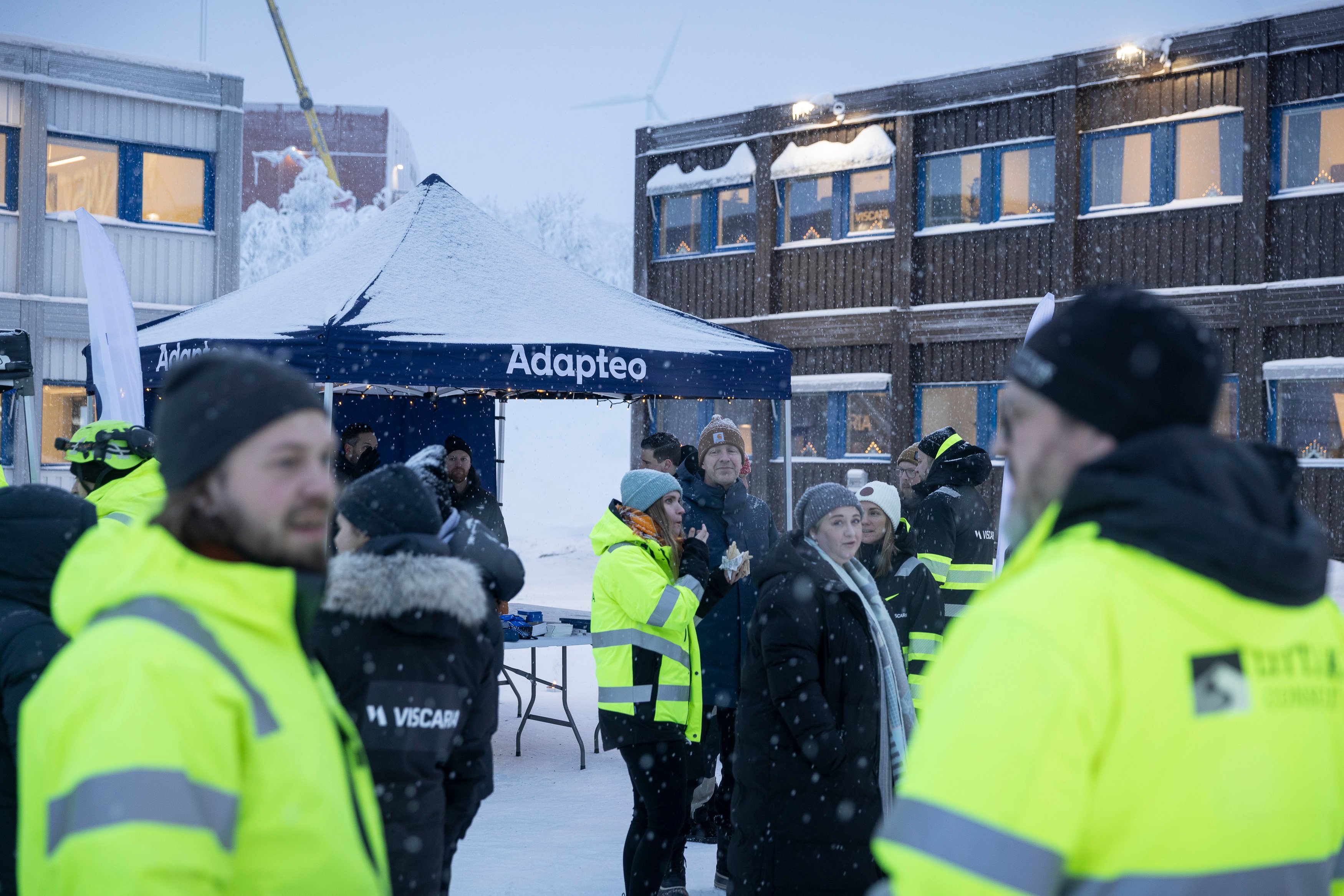 Viscaria_Adapteo_209